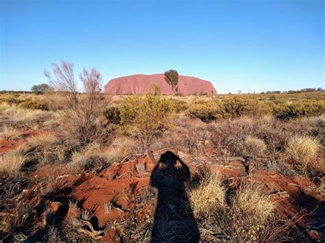 Emu Run Experience Day Tours Alice Springs 2019 All You Need To