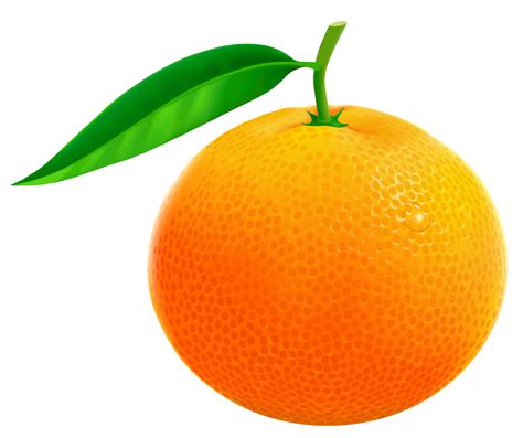 Orange Clipart For Kids 20 Free Cliparts Download Images On
