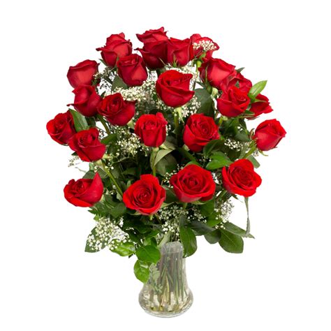 Two Dozen Red Roses Same Day Delivery Forest Of Flowers Brantford