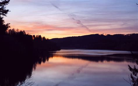 Download Wallpaper 3840x2400 Forest Trees Silhouettes Lake