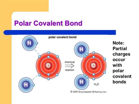 How Does A Polar Bond Differ From A Covalent Bond