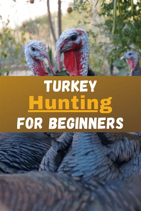 Turkey Hunting For Beginners