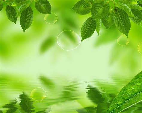 98 Background Nature Green Leaves Pics MyWeb