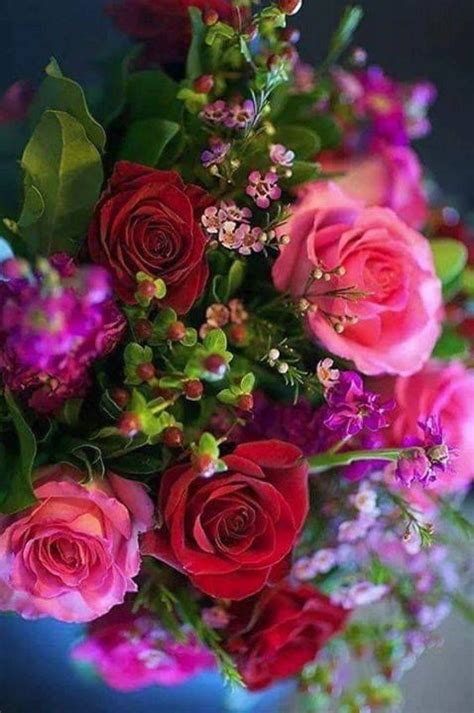 Открытки: Цветы | Красивые розы, Красивые цветы, Цветы