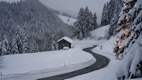 Snow Trees Road 4k Hd Wallpapers Hd Wallpapers Id 32392