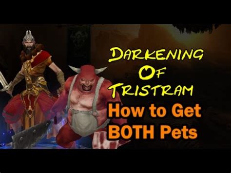 We provide the following services: Diablo 3 season 9 How to Get BOTH pets in Darkening of ...