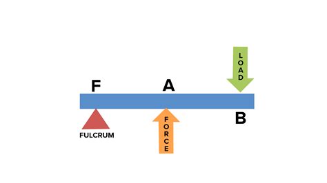 The Lever Of The Third Order Has A Load Between The Fulcrum And The Effort