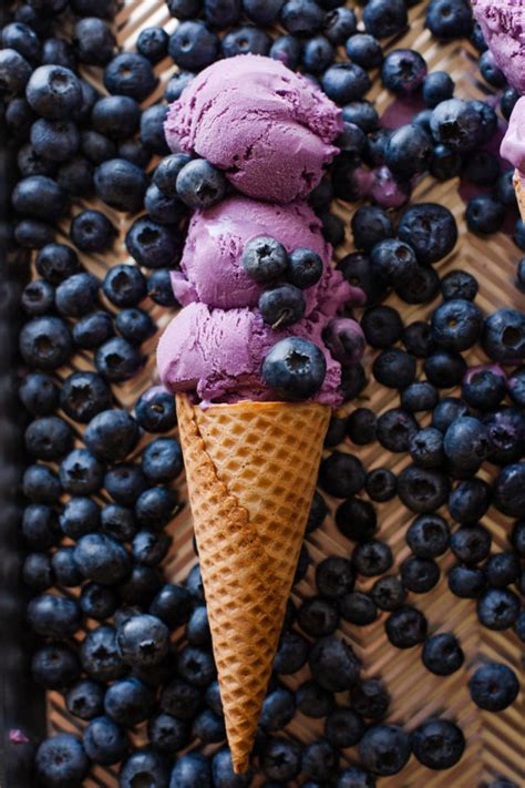 Blueberry Ice Cream Recipe Egg Free Beautiful Life And Home