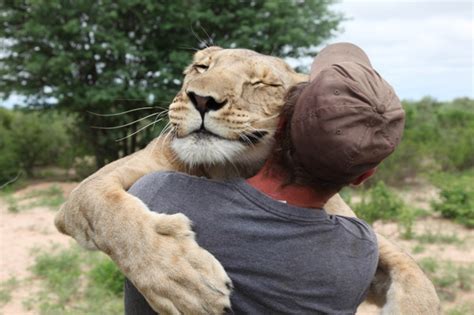 Man Who Raised Lioness From Cub Now Teaches Her To Hunt Aol Uk Travel