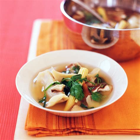 Asian Dumpling Soup Recipe Martha Stewart