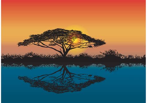 Acacia Tree African Sunset Vector Download Free Vector Art Stock