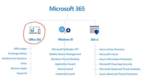 Microsoft 365 Vs Office 365