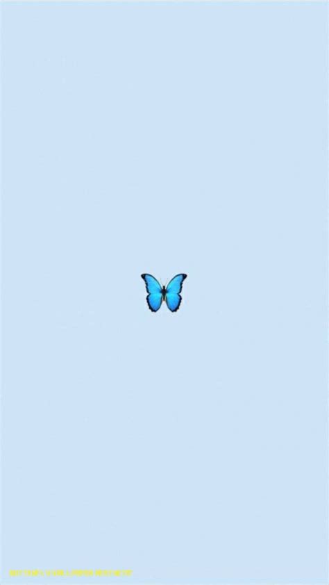 Butterfly Vsco Wallpapers Wallpaper Cave