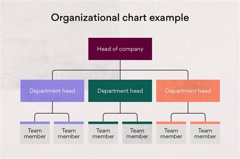 How To Create An Organizational Chart With Free Templates Asana