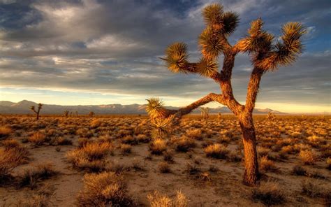 All Hot Informations Download Desert Hd Wallpapers 1080p