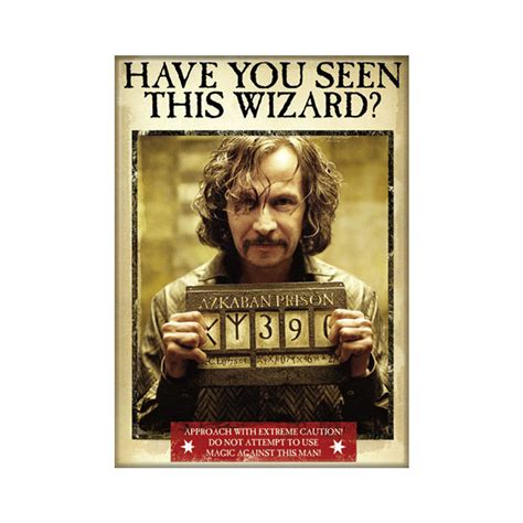 Harry Potter Wanted Poster