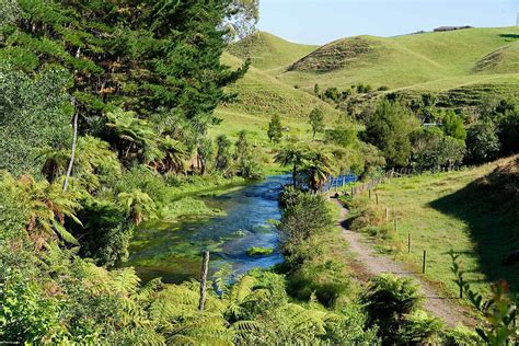 The Four Best Places To Live In New Zealand Expatra