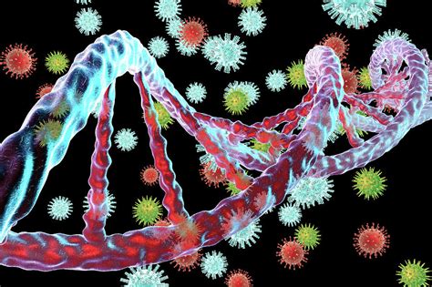 Viruses And Dna Photograph By Kateryna Konscience Photo Library