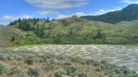 Kliluk Spotted Lake British Columbia Canada World Photo Canada