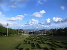 Parque Eduardo VII de Inglaterra Foto de Margarida Garimpo | Olhares