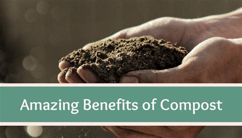 8 Amazing Benefits Of Compost High Country Farms