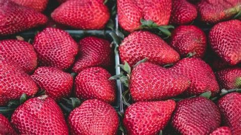 What Makes Strawberries Special And The Best Ways To Cook Them Health