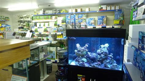 Oxford Hinksey Maidenhead Aquatics Fish Store Review Tropical Fish Site