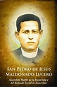 San Pedro de Jesús Maldonado Lucero, sacerdote mexicano mártir | De ...