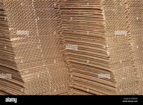 Corrugated Cardboard Packaging Stock Photo Alamy