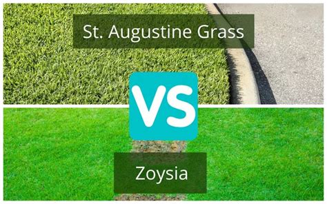 Turf Comparison Zoysia Vs St Augustine Grass