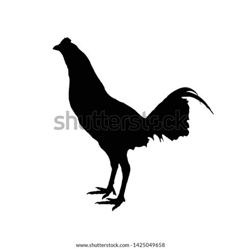 Illustration Black Gamecock Silhouette Isolated White Stock Illustration 1425049658 Shutterstock