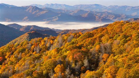 Parque Nacional Das Great Smoky Mountains Gastronomia E Vida Noturna