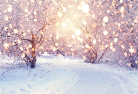 Free Zoom Backgrounds Snow Applicationfad