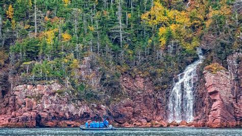 Fall In Love With Newfoundland Adventure Canada