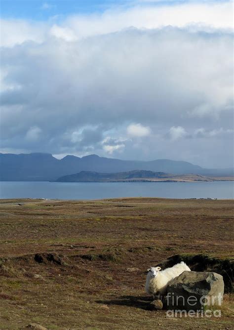 Iceland Vista 1 Photograph By Diana Rajala Fine Art America