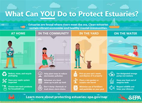 10 Ways You Can Protect Our Estuary | APNEP
