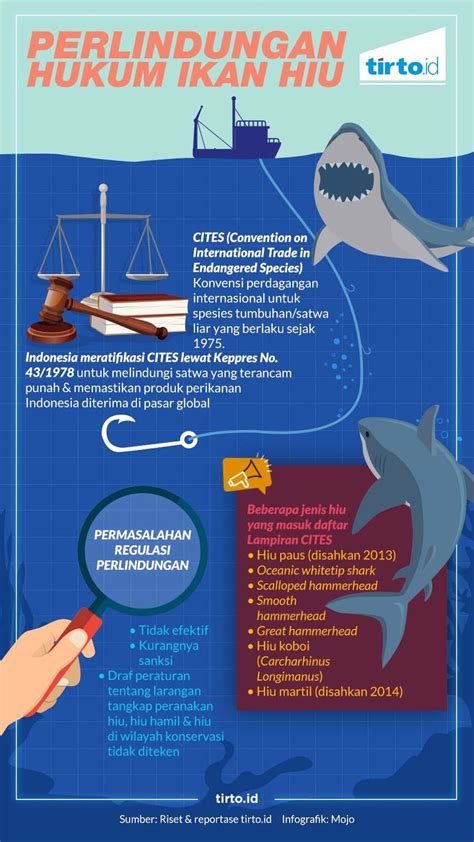 Jenis Ikan Yang Dilindungi Di Indonesia