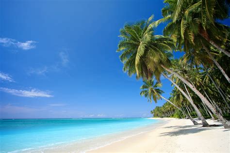 48 Free Beach Wallpapers And Screensavers Wallpapersafari