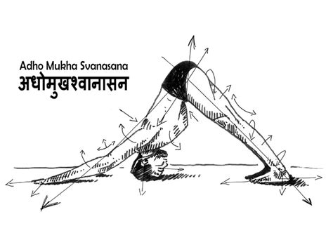 Adho Mukha Svanasana Yogasamkhyabe