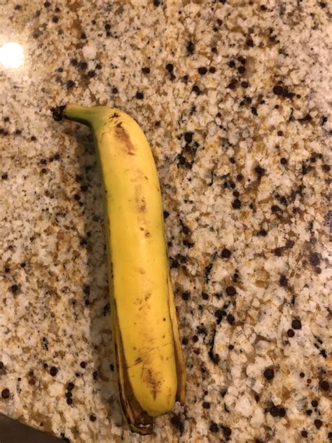 I Found This Straight Banana Rmildlyinteresting