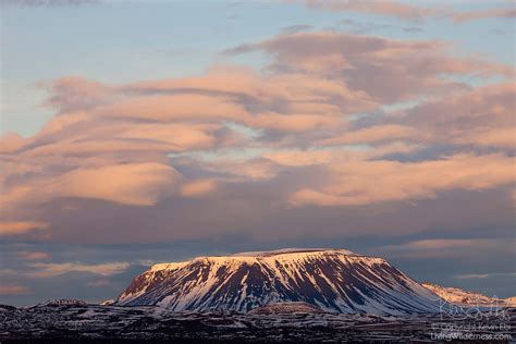 Bláfjall Iceland Living Wilderness Nature Photography