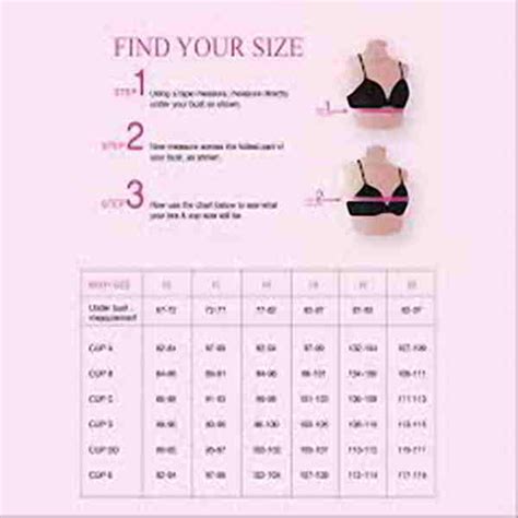 Different Bra Cup Size Chart