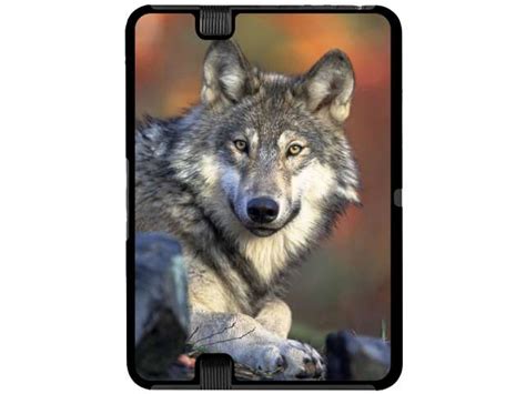 Wolf Wallpaper For Kindle Fire Wallpapersafari