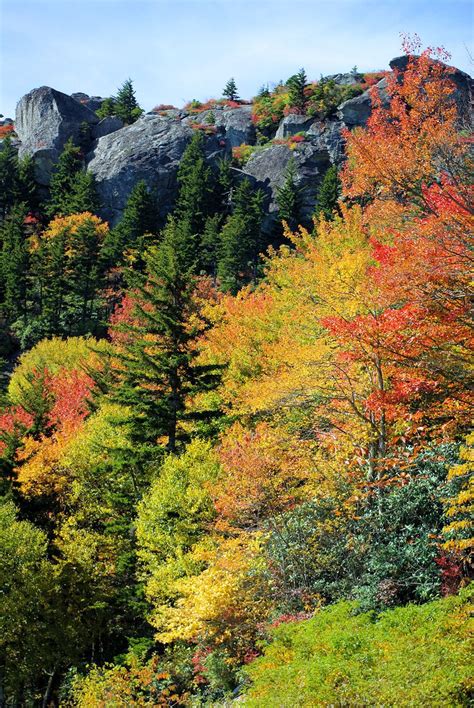 Here's why i think you will want to put the brp on your fall adventure list Asheville NC Fall Foliage Color Leaf Report 2014 | Autumn ...