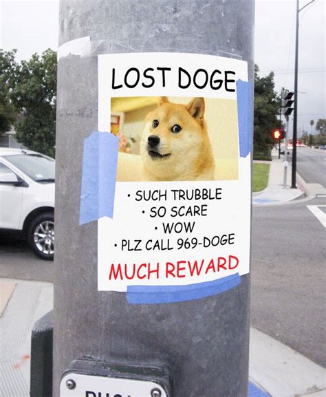 Watch out for people impersonating this page! Doge Meme - Much Wow Dog - Funny Shiba Inu Meme