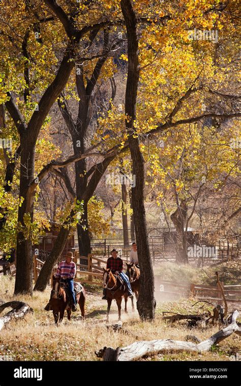 Horseback Riders Along Virgin River In Zion National Park Enjoy