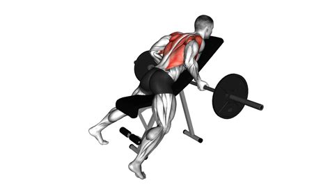 Barbell Reverse Grip Incline Bench Row Ultimate Guide And Tips