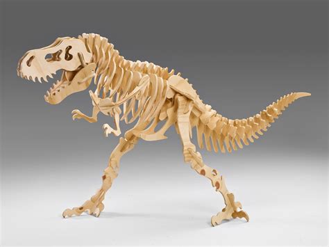 50 Beautiful Dinosaur Skeleton 3d Model Free Free Mockup