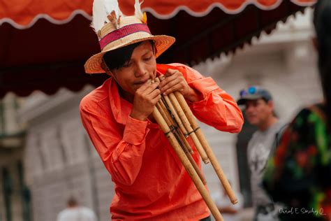 Gamu Purrui O Flauta De Pan Indígena Lacabanga