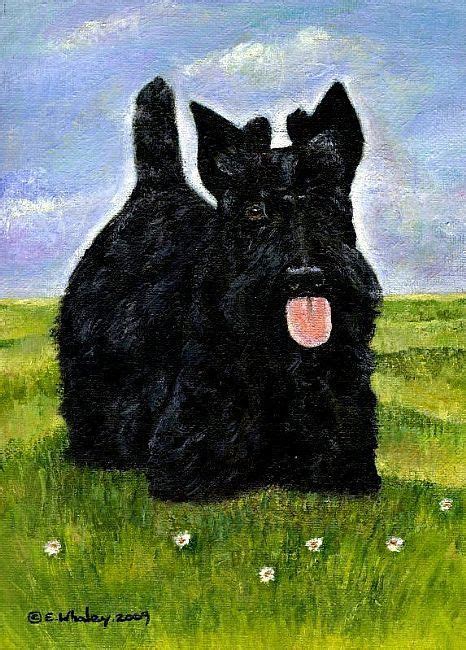 Scottish Terrier Art Scottish Terrier By Artist Elizabeth M Whaley